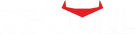 X-BULL