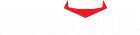 X-BULL